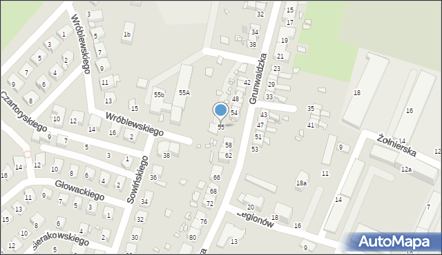Prudnik, Grunwaldzka, 55, mapa Prudnik