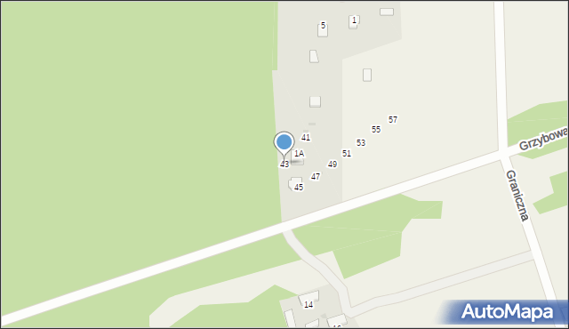 Przybynów, Grzybowa, 43, mapa Przybynów