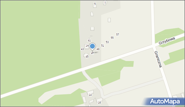 Przybynów, Grzybowa, 47, mapa Przybynów