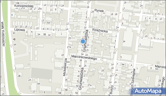 Rawicz, Grunwaldzka, 30, mapa Rawicz