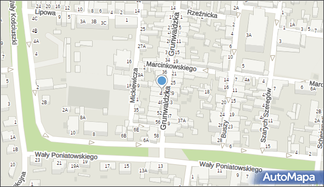 Rawicz, Grunwaldzka, 44, mapa Rawicz