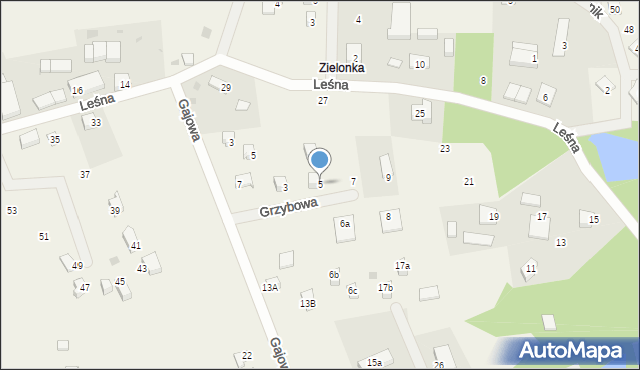 Sasino, Grzybowa, 5, mapa Sasino