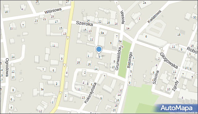 Ścinawa, Grunwaldzka, 3, mapa Ścinawa