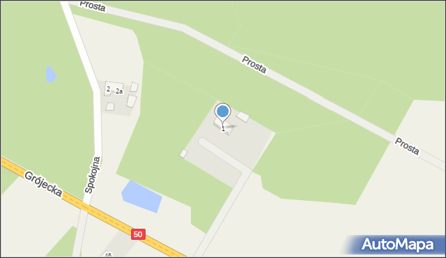 Tłumy, Grójecka, 1, mapa Tłumy
