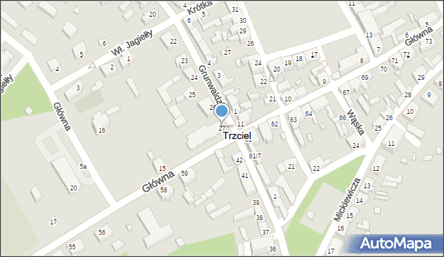 Trzciel, Grunwaldzka, 27, mapa Trzciel
