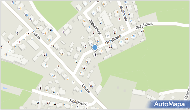 Twardogóra, Grzybowa, 8, mapa Twardogóra