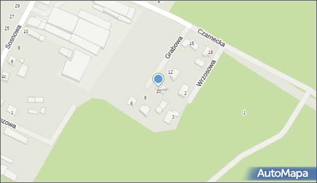 Zaniemyśl, Grabowa, 10, mapa Zaniemyśl