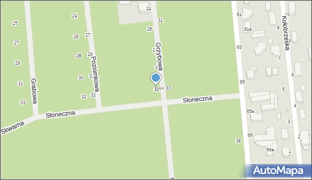 Zgierz, Grzybowa, 32, mapa Zgierz