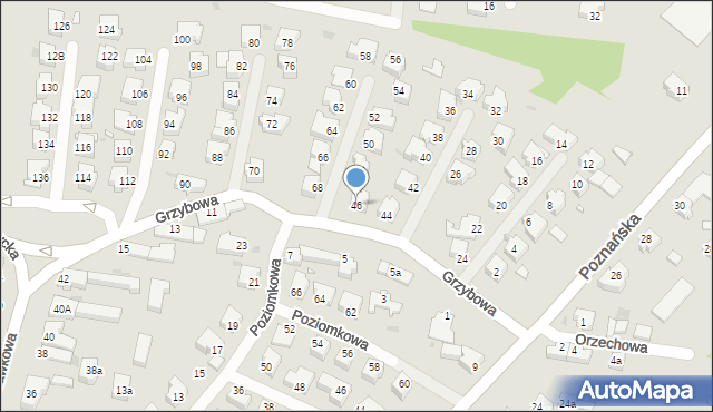 Zielona Góra, Grzybowa, 46, mapa Zielona Góra