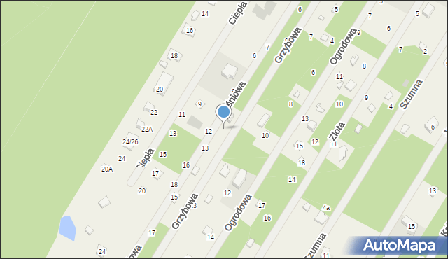 Zofiówka, Grzybowa, 12, mapa Zofiówka