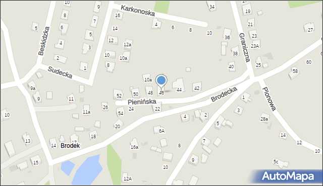 Żory, Graniczna, 46, mapa Żor