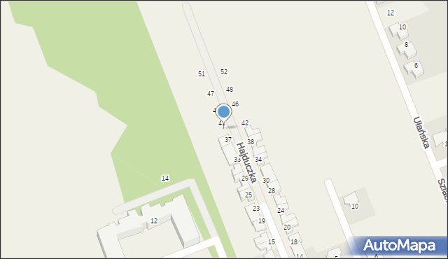 Dawidy Bankowe, Hajduczka, 39, mapa Dawidy Bankowe