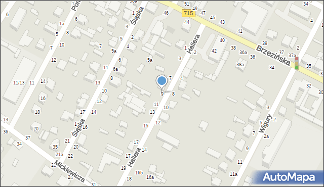 Koluszki, Hallera Józefa, gen., 9, mapa Koluszki