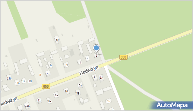 Hedwiżyn, Hedwiżyn, 1, mapa Hedwiżyn