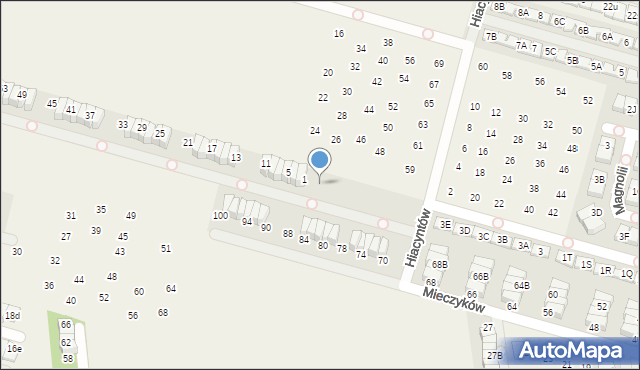 Nowa Wola, Hiacyntów, 1g, mapa Nowa Wola