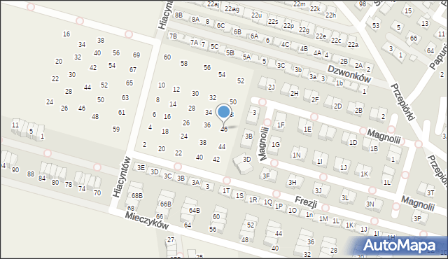 Nowa Wola, Hiacyntów, 46, mapa Nowa Wola