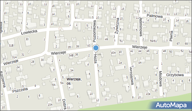 Piotrków Trybunalski, Hoża, 1, mapa Piotrków Trybunalski