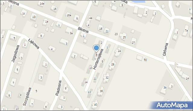 Wilkszyn, Hortensjowa, 6, mapa Wilkszyn