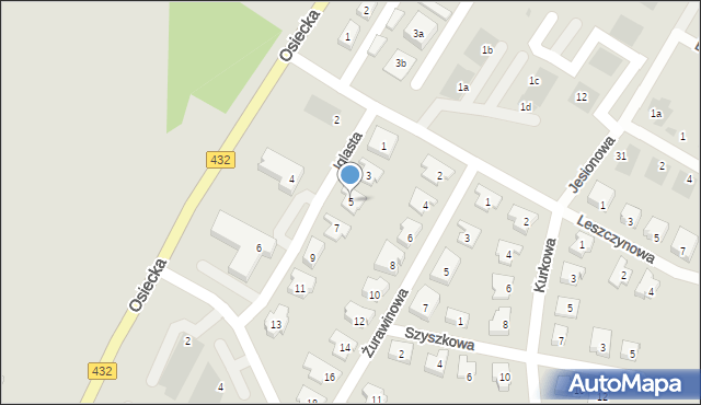 Leszno, Iglasta, 5, mapa Leszno