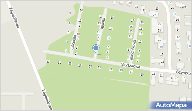 Poznań, Iglasta, 1, mapa Poznania