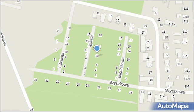 Poznań, Iglasta, 10, mapa Poznania