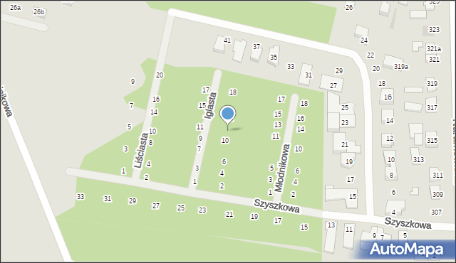 Poznań, Iglasta, 12, mapa Poznania