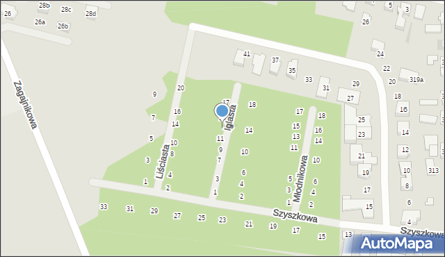 Poznań, Iglasta, 13, mapa Poznania