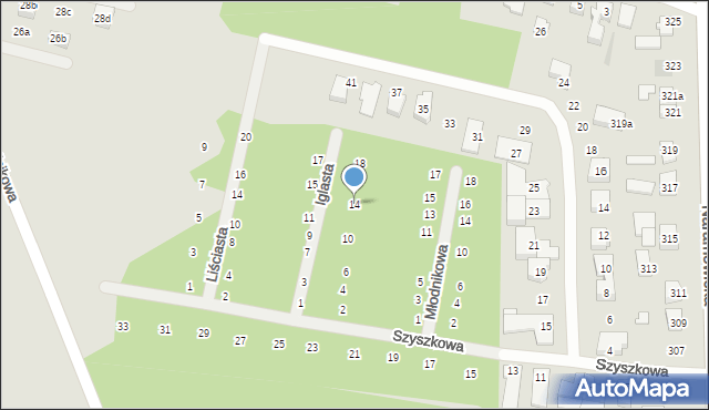 Poznań, Iglasta, 14, mapa Poznania