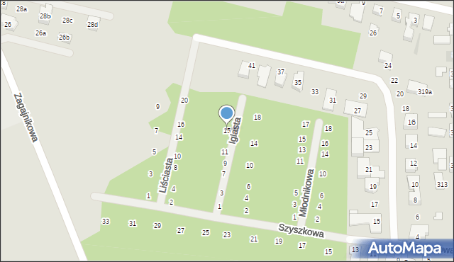 Poznań, Iglasta, 15, mapa Poznania