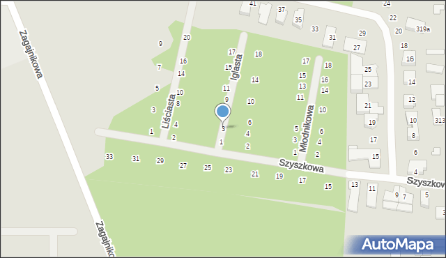 Poznań, Iglasta, 3, mapa Poznania