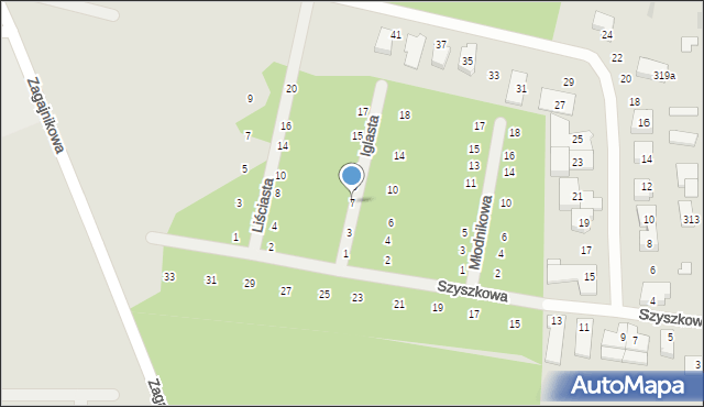 Poznań, Iglasta, 7, mapa Poznania