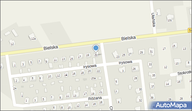 Nowe Proboszczewice, Irysowa, 21, mapa Nowe Proboszczewice