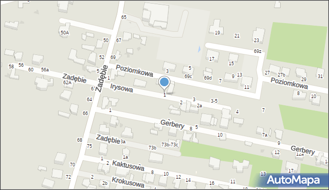 Skierniewice, Irysowa, 1, mapa Skierniewic