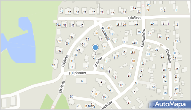 Sosnowiec, Irysów, 4, mapa Sosnowca