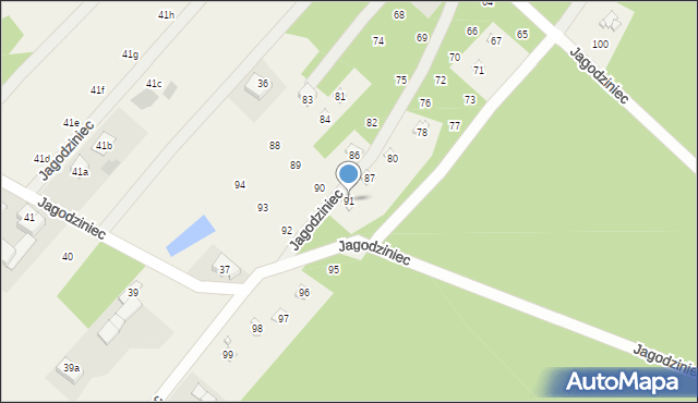Jagodziniec, Jagodziniec, 91, mapa Jagodziniec