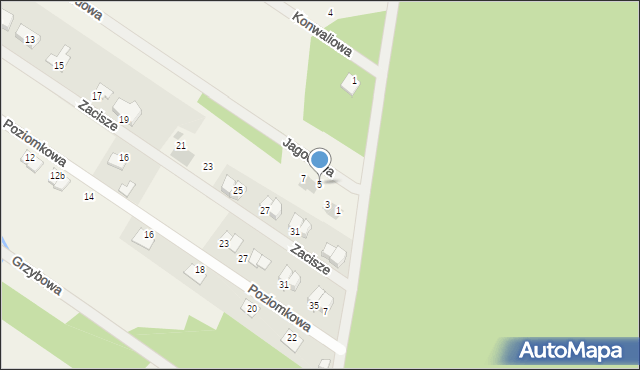 Kostomłoty Pierwsze, Jagodowa, 5, mapa Kostomłoty Pierwsze