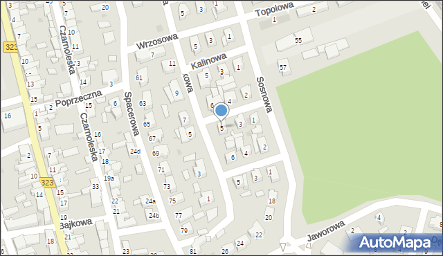 Leszno, Jarzębinowa, 5, mapa Leszno