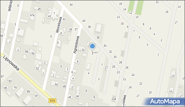 Maszewo Duże, Jarzębinowa, 2, mapa Maszewo Duże