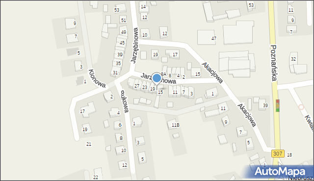 Niepruszewo, Jarzębinowa, 17, mapa Niepruszewo