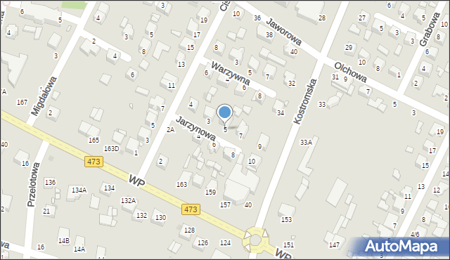 Piotrków Trybunalski, Jarzynowa, 5, mapa Piotrków Trybunalski