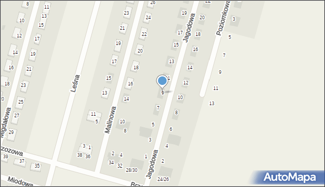 Raków Duży, Jagodowa, 9, mapa Raków Duży