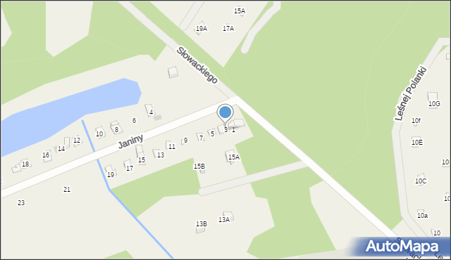 Skrzeszew, Janiny, 3, mapa Skrzeszew