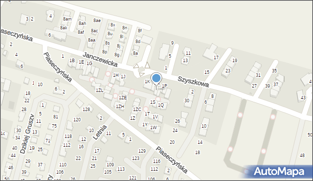 Słomin, Janczewicka, 1M, mapa Słomin