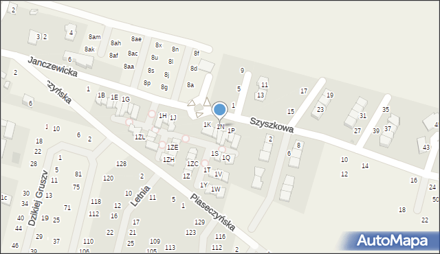 Słomin, Janczewicka, 1N, mapa Słomin