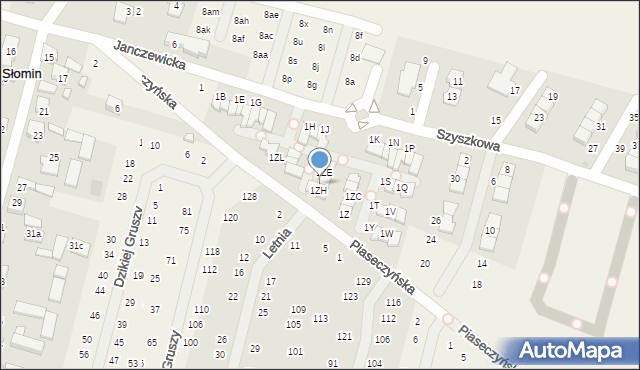 Słomin, Janczewicka, 1ZG, mapa Słomin