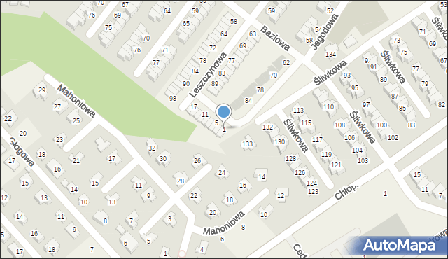 Smolec, Jagodowa, 1, mapa Smolec