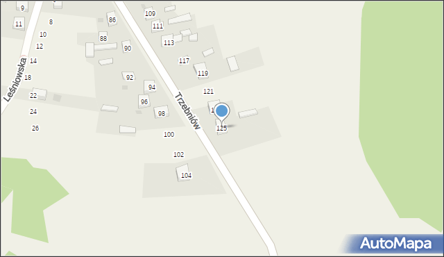 Trzebniów, Jana Pawła II, 125, mapa Trzebniów