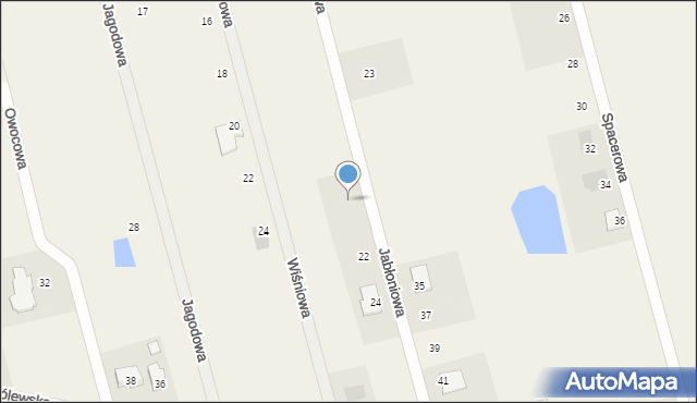 Tuszynek Majoracki, Jabłoniowa, 20, mapa Tuszynek Majoracki