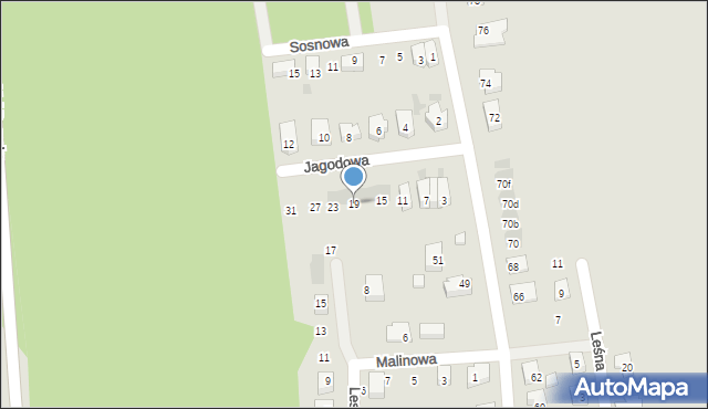 Wschowa, Jagodowa, 19, mapa Wschowa
