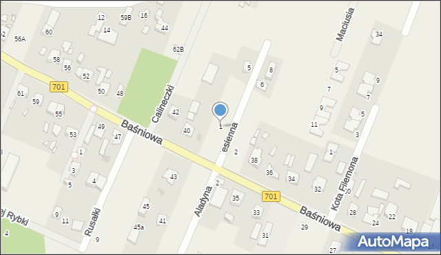 Domaniew, Jesienna, 1, mapa Domaniew